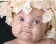 Mozart For Babies (Vol.2)