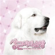 Sang Geun's Wish