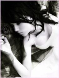 Love Songs Collection