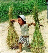 các ca khúc nhạc trẻ được nghe nhiều nhất