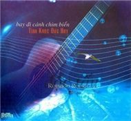 Bay Đi Cánh Chim Biển (Độc Tấu Guitar)