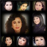 Nhạc Vàng Tuyển Chọn (Vol 5)