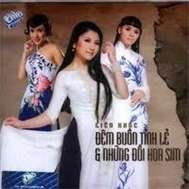 Liên Khúc Đêm Buồn Tỉnh Lẻ & Những Đồi Hoa Sim