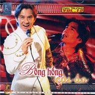 Bông Hồng Cài Áo (Vol 12)