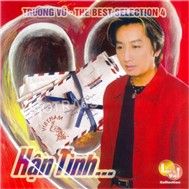 Hận Tình (The Best Selection 4)