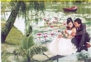 Nhạc trữ tình quê hương.