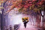 Tổng hợp những ca khúc về Cha Mẹ hay nhất
