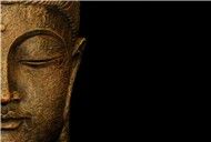 Osho Dynamic Meditation (2011)