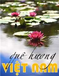 Hello Việt Nam (Collection 2012)
