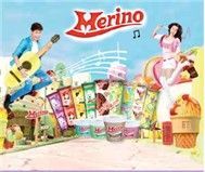 Merino Icecream Land