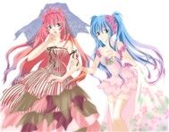 Megurine Luka & Miku Hatsune Collection