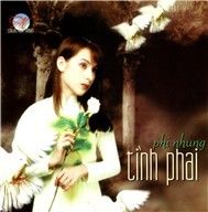 Tình Phai
