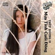 Mưa Tình Cuối Đông