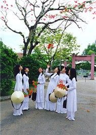 Kỉ Niệm Mái Trường