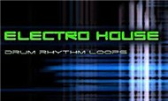 Electro House Collection (2011)