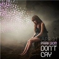 Don't Cry (Single 2011)