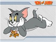 Tom & Jerry 8 (Phim Hoạt Hình)