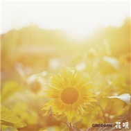 Hana Uta (Single)