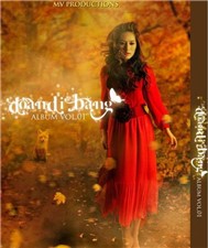 Vol 1 (2011)