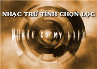 Nhạc Trữ Tình Chọn Lọc