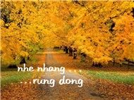 Nhẹ Nhàng Và Rung Động