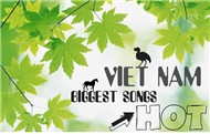 Tổng Hợp Nhạc Việt Hot 2011