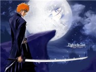Bleach (Anime, Tập 266-274)