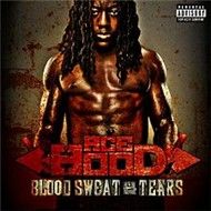 Blood Sweat And Tears (2011)