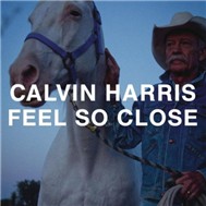 Feel So Close (Single 2011)