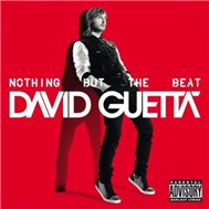 Nothing But The Beat (2011)