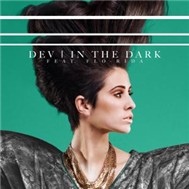 In The Dark (Single 2011)