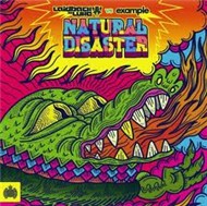 Natural Disaster (Single 2011)