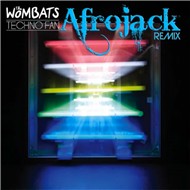 Techno Fan (Afrojack Remix 2011)