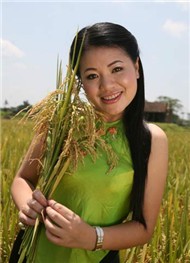 Tình Yêu Tôi Hát
