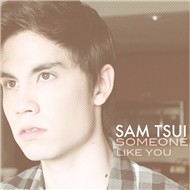Someone Like You (Adele Cover)