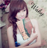 Tuyển Tập Các Ca Khúc Hay Nhất Của Thái Tuyết Trâm (2013) - Thái Tuyết Trâm