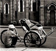 Âm Nhạc Giao Thông (Collection)