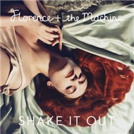 Shake It Out (EP 2011)