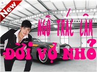 Đời Vợ Nhỏ (2011)