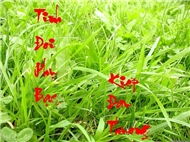 Truong An