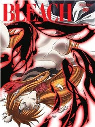 Bleach (Phim Hoạt Hình, Tập 275-295)