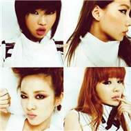 Tuyển Tập Ca Khúc Hay Nhất Của 2NE1 (2013)