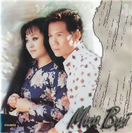 Mưa Bụi (Làng Văn CD209)