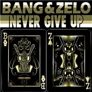 Never Give Up (Single 2011)