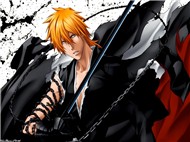 Bleach (Phim Hoạt Hình, Tập 296 - 310)