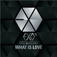 What Is Love (Chinese Version)