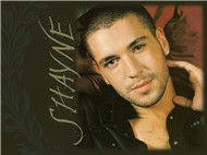 Tuyển Tập Các Ca Khúc Hay Nhất Của Shayne Ward (2013)