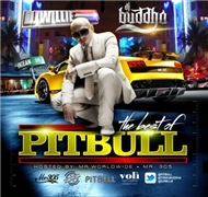 Best Of Remixes