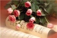 V.A - Những Bài Nhạc Không Lời Hay Nhất