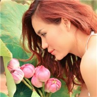 Hồng Mơ Và Ca Khúc Trữ Tình (2012)